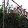 EXC/2003.08.27/fotky/P8270119.JPG