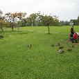 Ja_a_Zuzik/2007.09.27-Irsko2007/fotky/Irsko-248.jpg