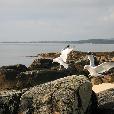 Ja_a_Zuzik/2007.09.27-Irsko2007/fotky/Irsko-523.jpg