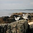 Ja_a_Zuzik/2007.09.27-Irsko2007/fotky/Irsko-524.jpg