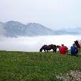 MTB_expedice/2006.07-2-Pyrenees/fotky/033-Pyrenees-Col_d'Aubisque-no_comment_(Misak_foto).jpg