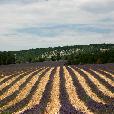 MTB_expedice/2006.07-4-Provance/fotky/121-Mount_Ventoux_(Vasek_foto).jpg