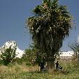 MTB_expedice/2007.08.Turecko/fotky/04-06-Pamukale_(Vasek_foto).jpg