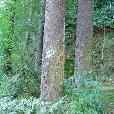 MTB_vyjizdky/2003.07.27/fotky/P7240021.JPG