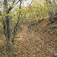 MTB_vyjizdky/2005.10.22/fotky/DSC02719.JPG