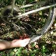 MTB_vyjizdky/2006.09.23-Max_chata-bike/fotky/Max_chata-bike-25.jpg