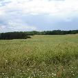 MTB_vyjizdky/2007.06.17-vylet-do-Jevan-M+Z/fotky/vylet-do-jevan_07.jpg
