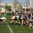 ostatni/2008.04.27-Rugby-Tatra_smichof-Chrastany-118-0/fotky/img_5617.jpg