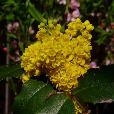 priroda/2004.04.21/fotky/P4210015.JPG