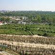 priroda/2007.04.28-Botanicka_zahrda-vystava_motylu/fotky/botanicka-vystava_motylu_51.jpg